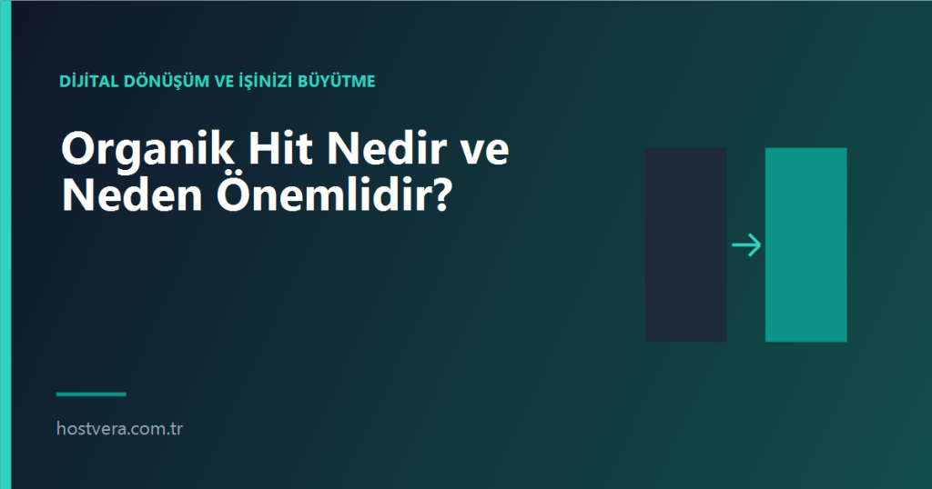 Organik Hit Nedir ve Neden Önemlidir? — Hostvera blog kapak görseli